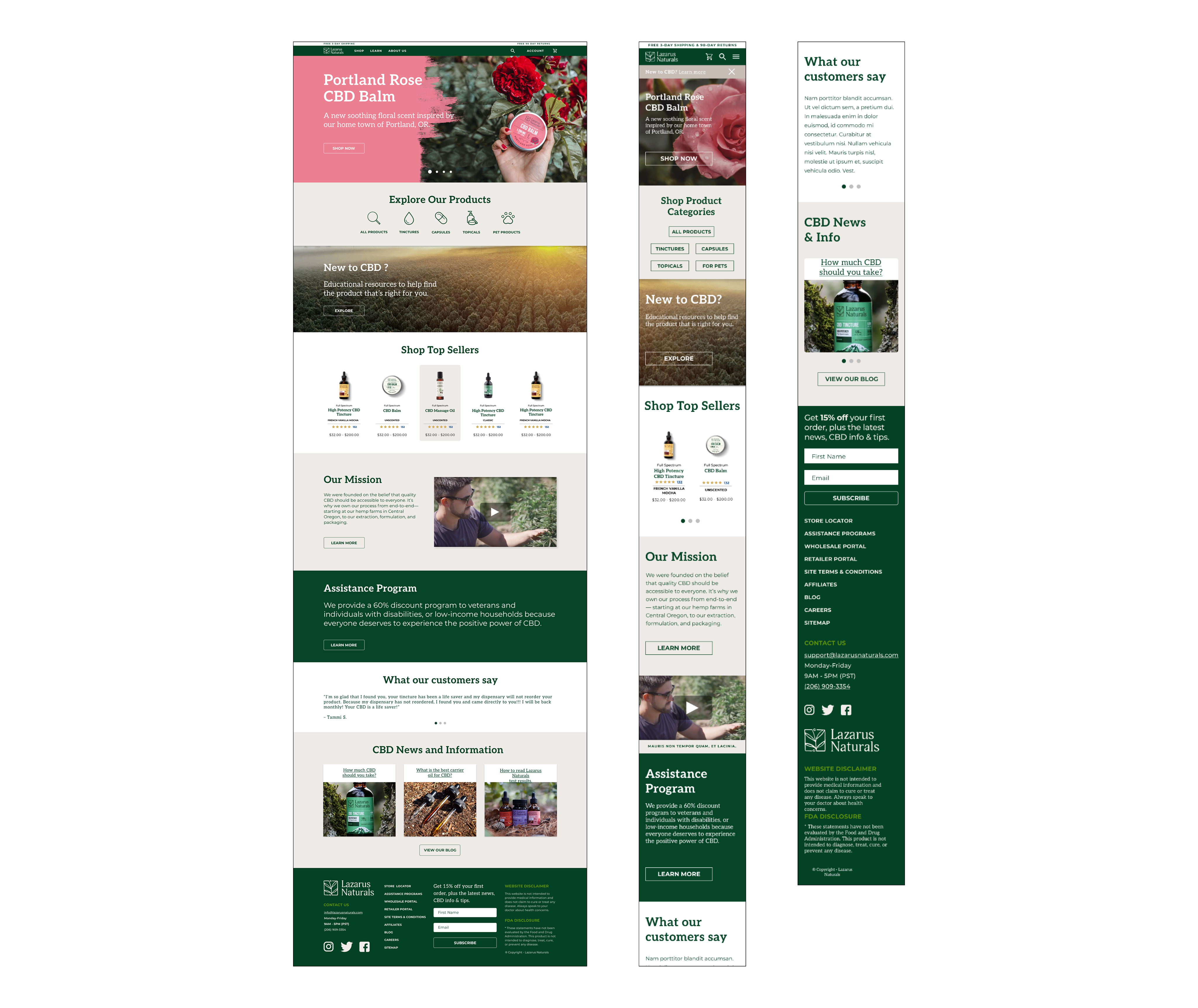 Illustration of shells
