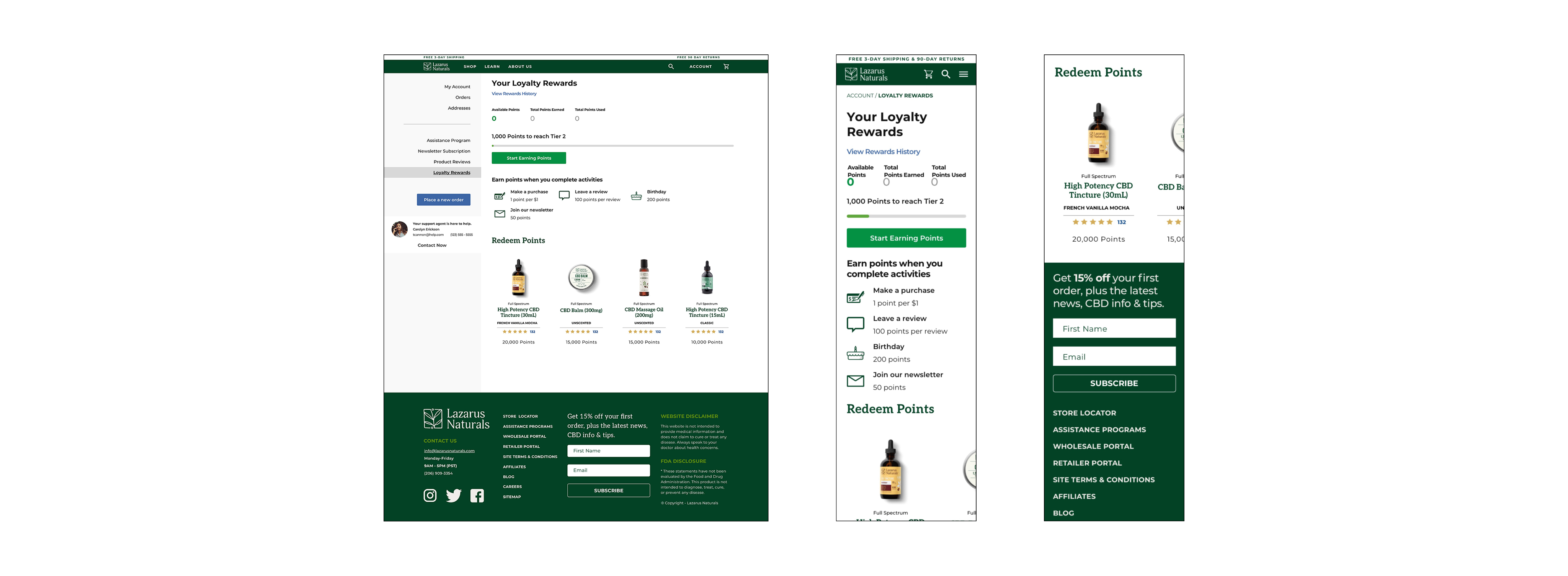 Illustration of shells