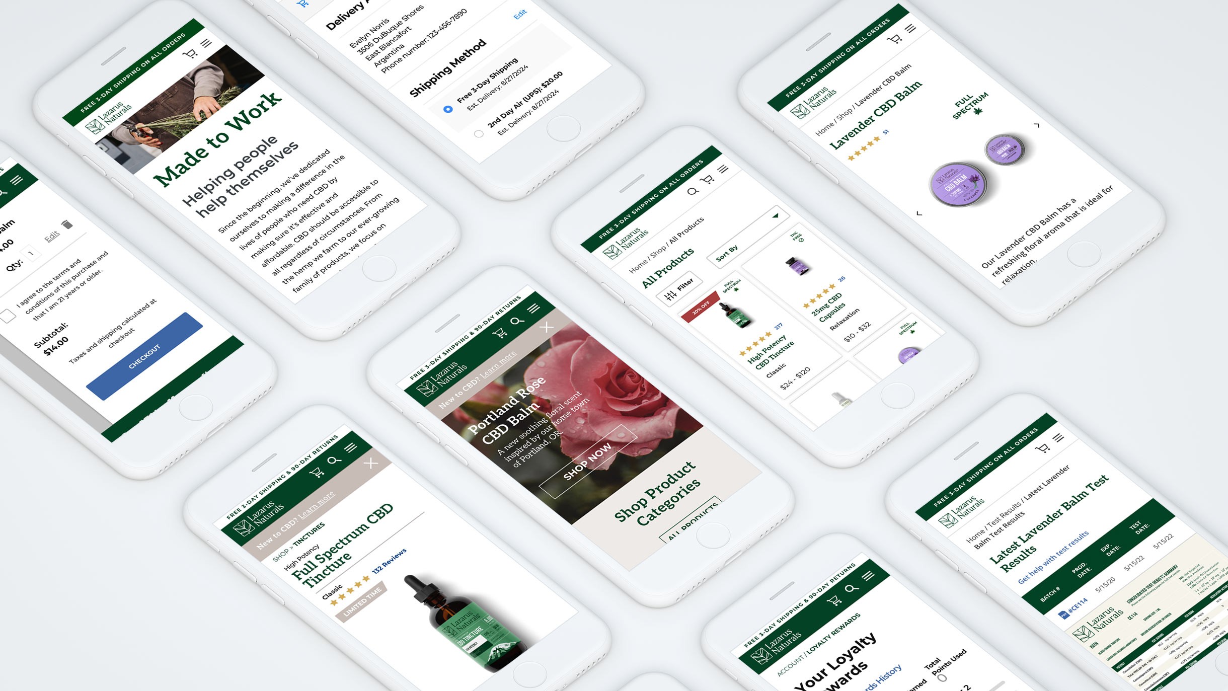 Illustration of shells
